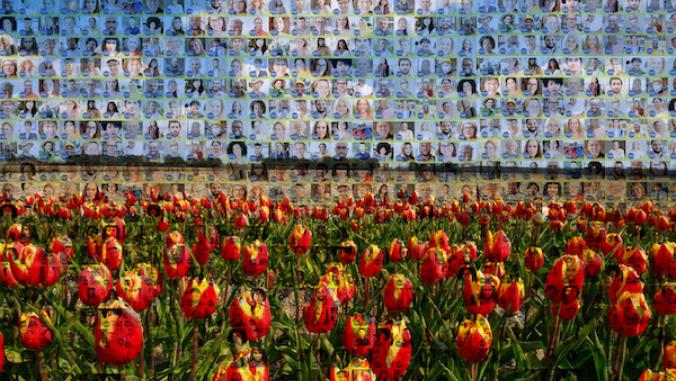Mosaic of people's faces making up a field of red tulips.